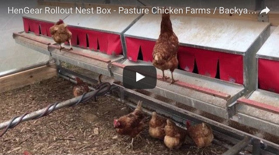 5,000 Laying Hens Uses The HenGear Rollout Nest Box