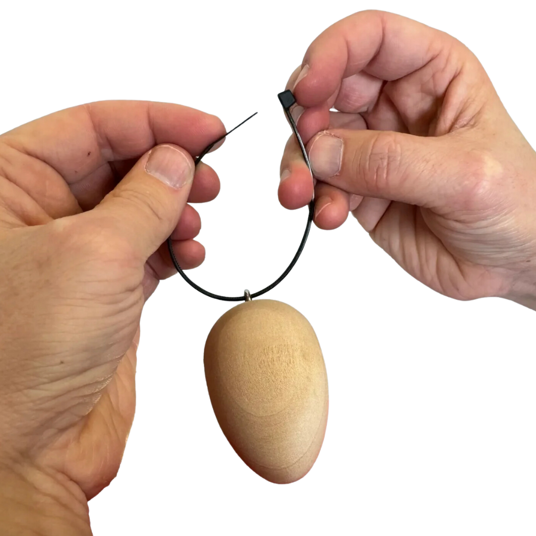 Trainer Egg