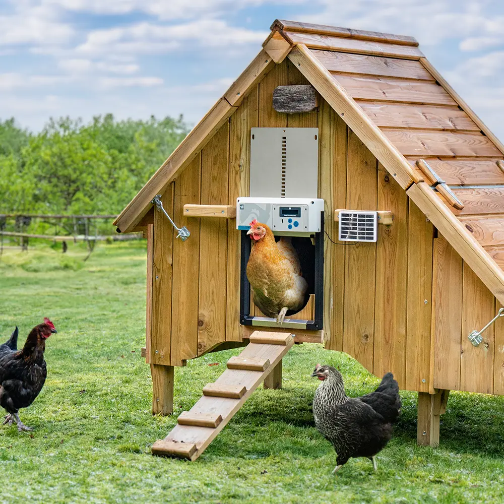 ChickenGuard All-In-One SOLAR