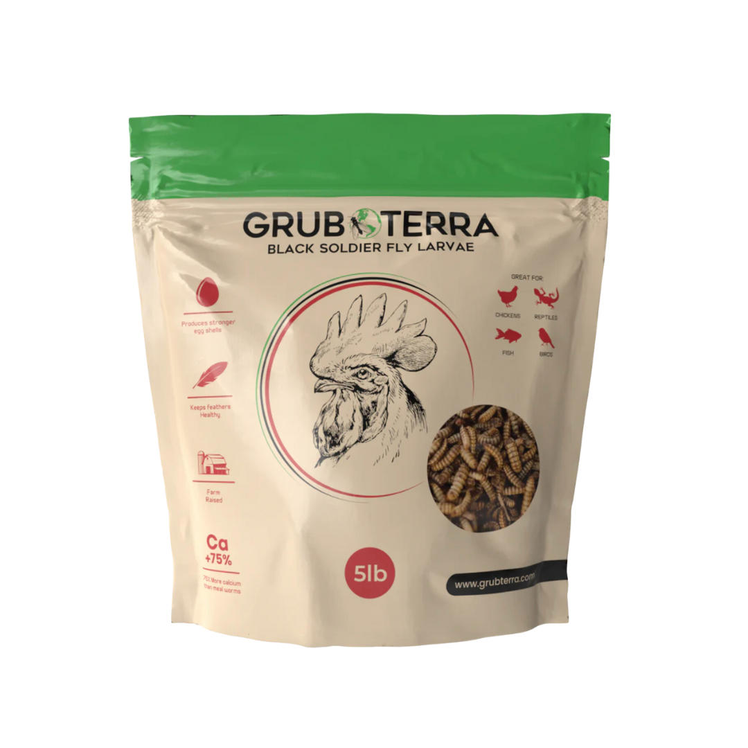 GrubTerra Dried Black Soldier Fly Larvae
