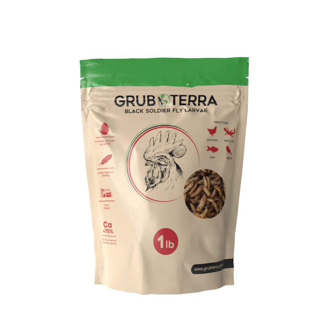 GrubTerra Dried Black Soldier Fly Larvae