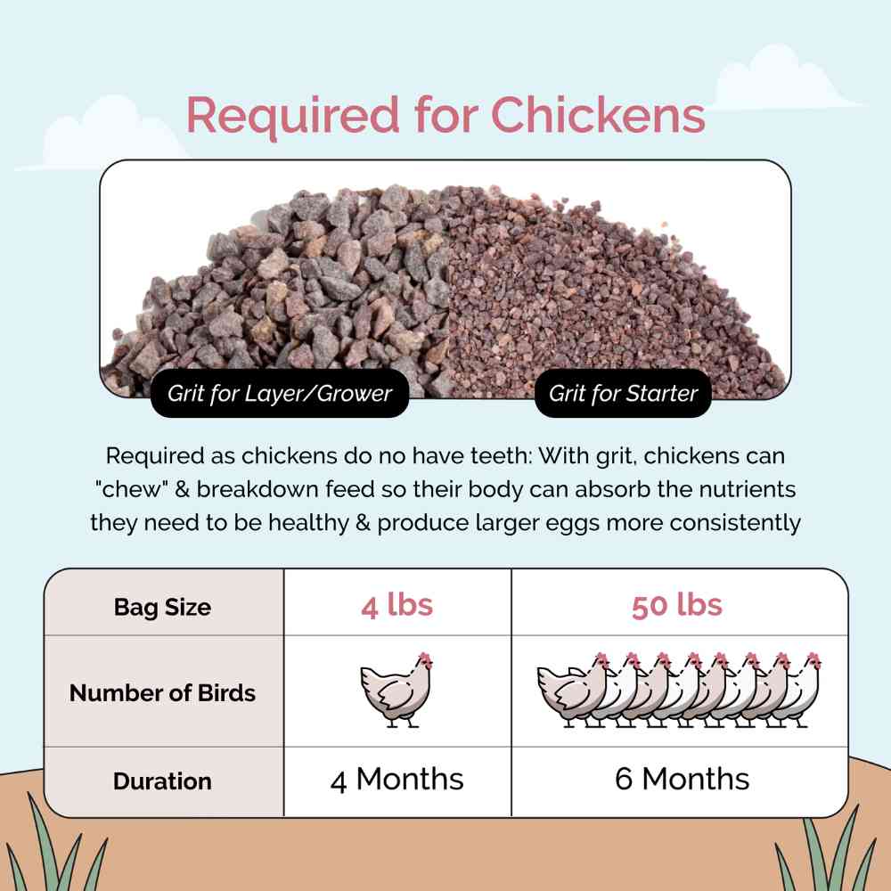 Chicken Grit