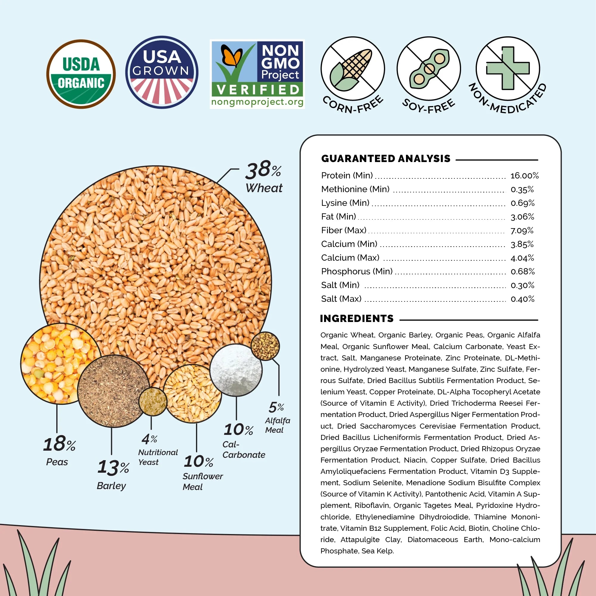Layer Feed Kit | 1 Month of Organic Feed, Grit & Oyster Shell for 10 Layers