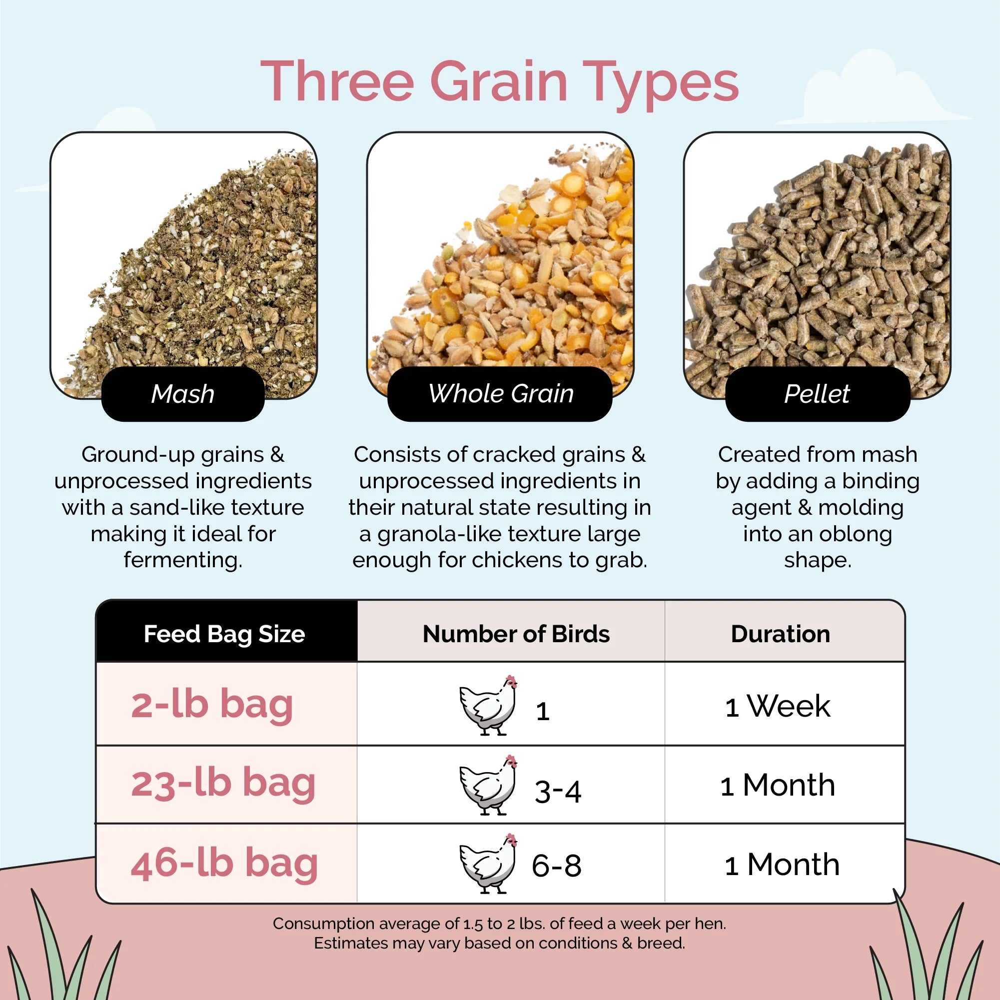 Layer Feed Kit | 1 Month of Organic Feed, Grit & Oyster Shell for 10 Layers