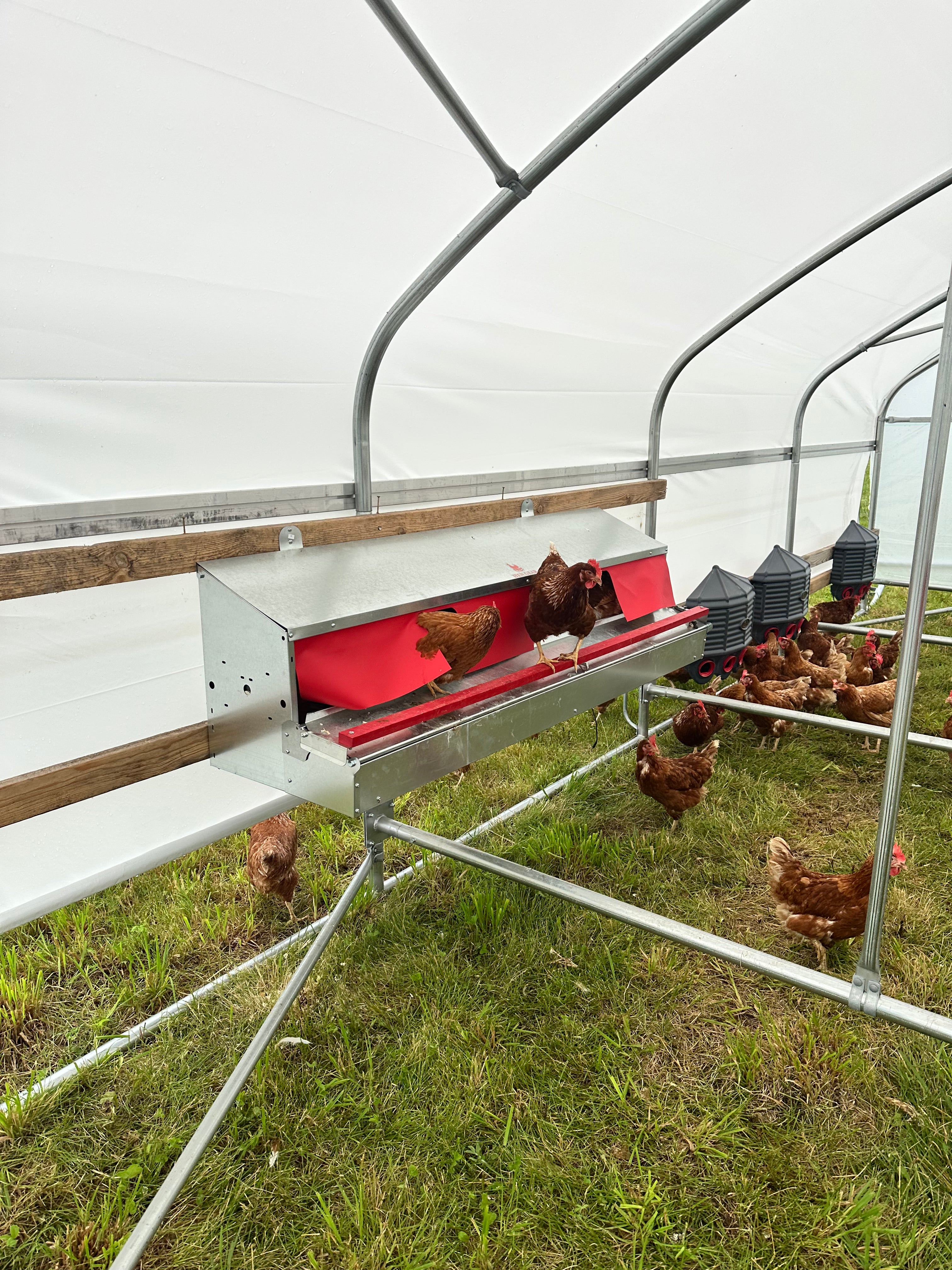 Portable Pasture Chicken Coop - 10' x 24'