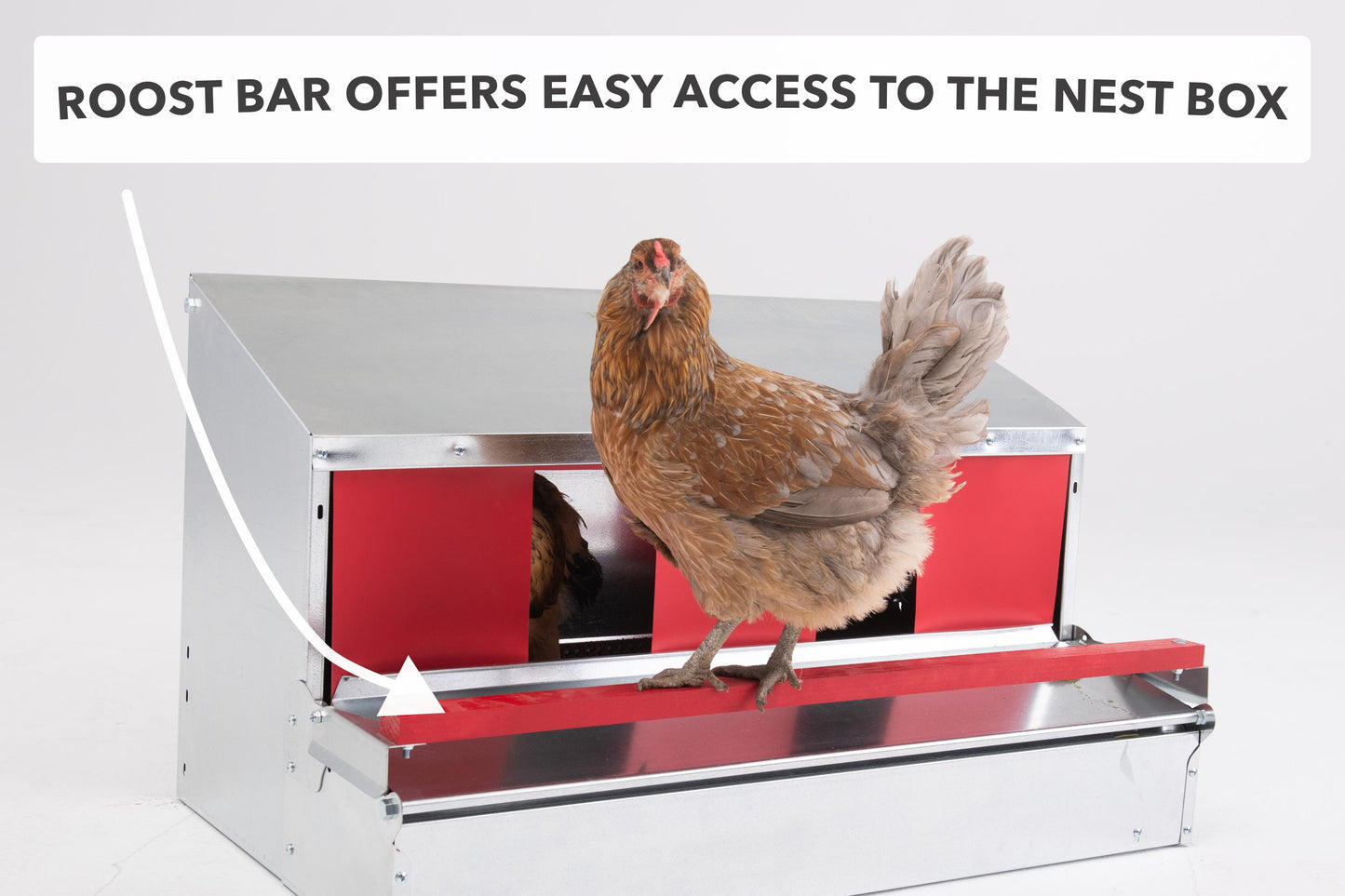 
                  
                    Medium (34") Reversible Rollout Nest Box (Up to 32 Hens) - Ready to Ship!
                  
                