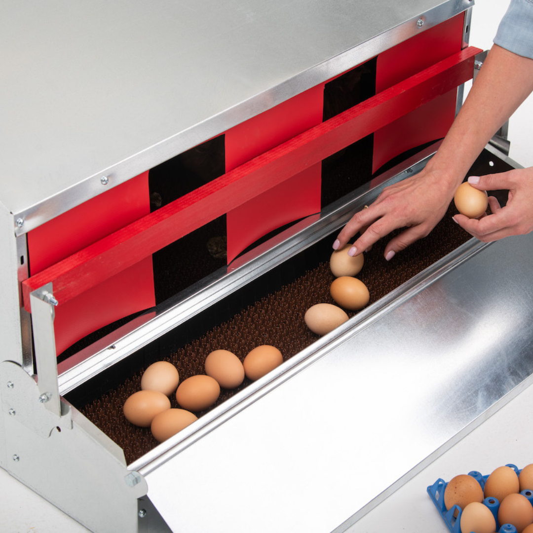 Medium (34") Reversible Rollout Nest Box (Up to 32 Hens)