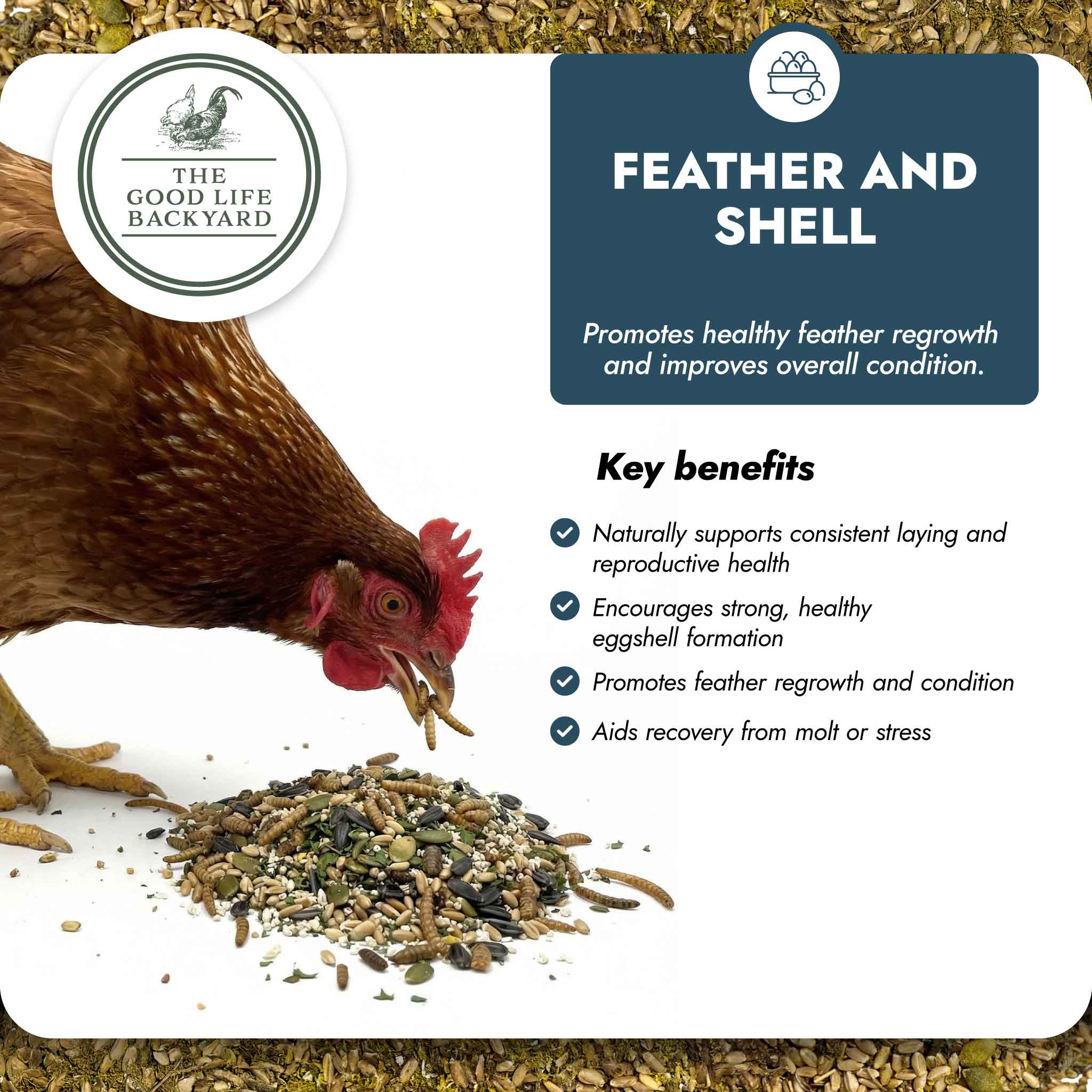 Feather and Shell - Calci-Protein Blend