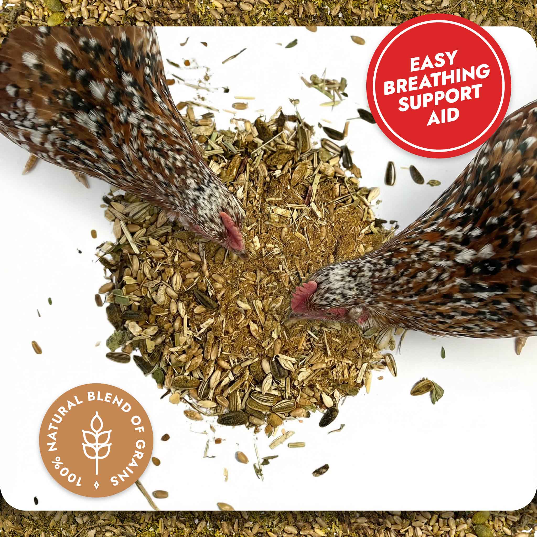 Respiratory Relief - Spice Blend