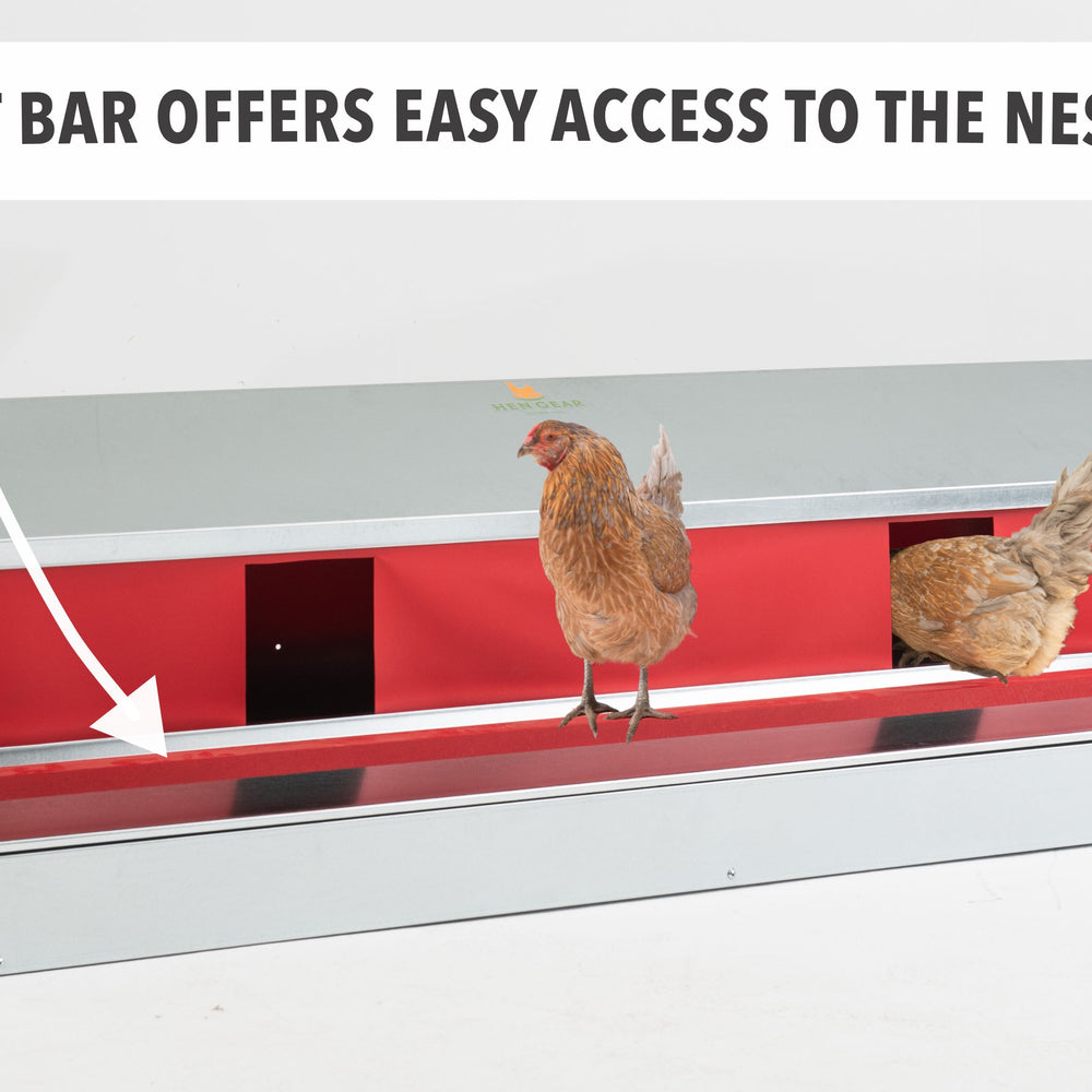 
                  
                    Large (54") - Reversible Rollout Nest Box (Up to 52 Hens) - Ready to Ship!
                  
                