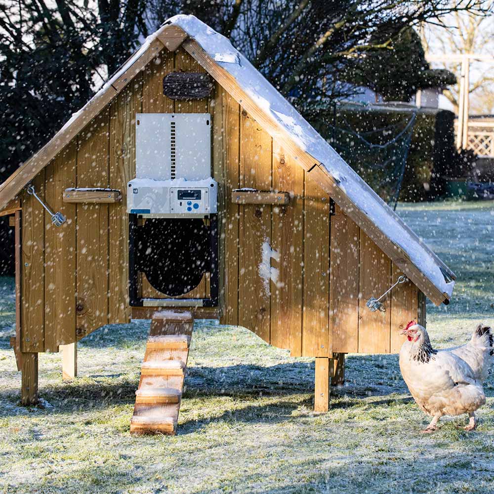 ChickenGuard All-In-One SOLAR