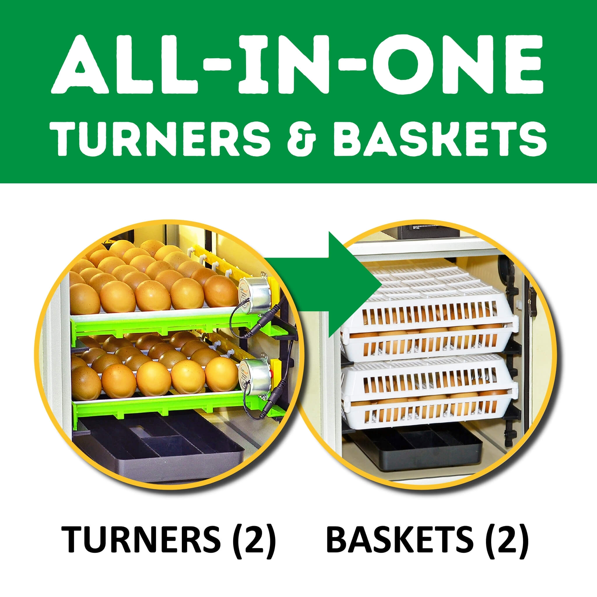 CT60 SH - Egg Incubator - Setter & Hatcher