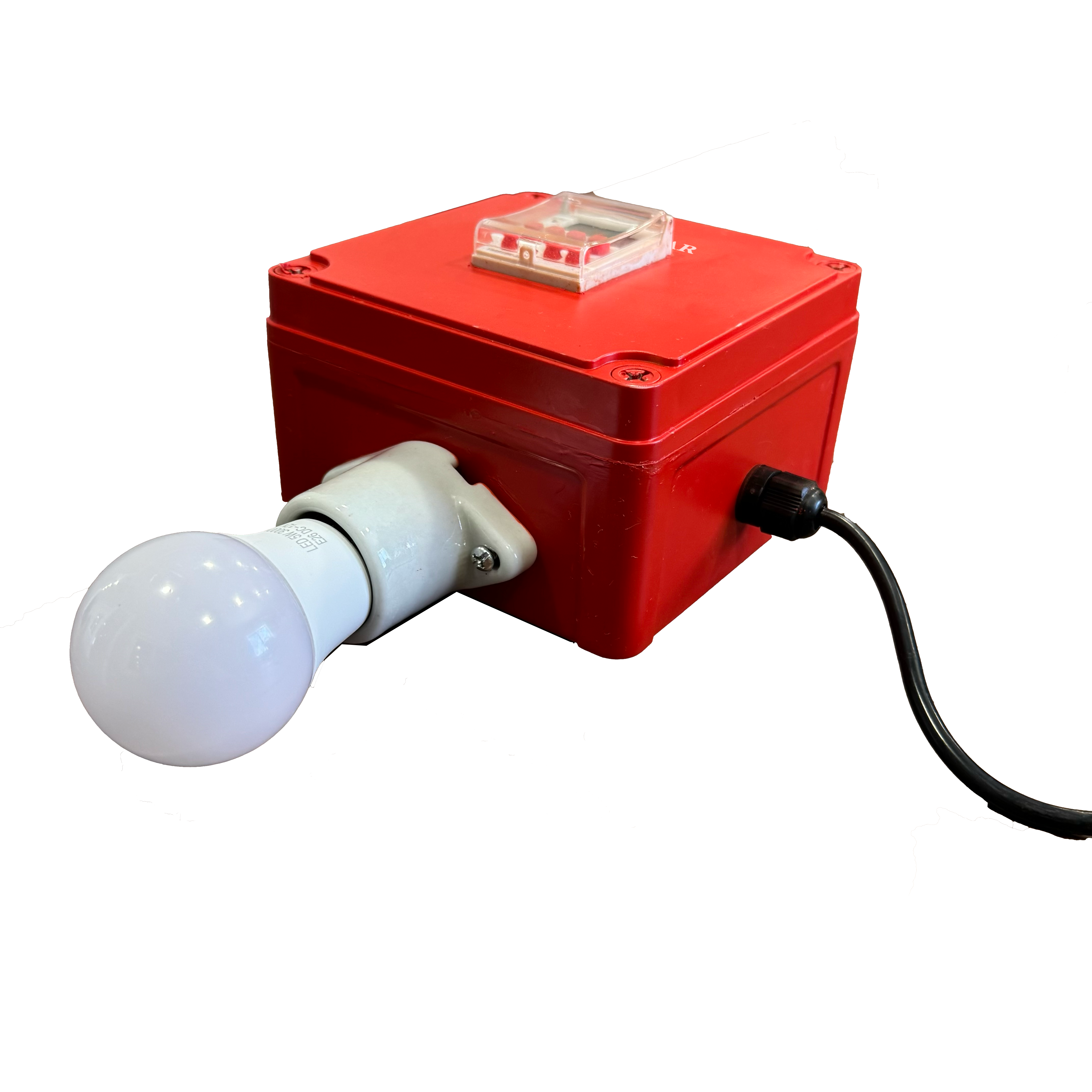 Automatic Coop Light