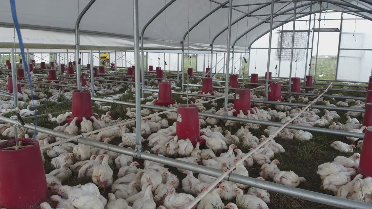 Portable Pasture Chicken Coop - 20'x48' (Up to 1,000 chickens)