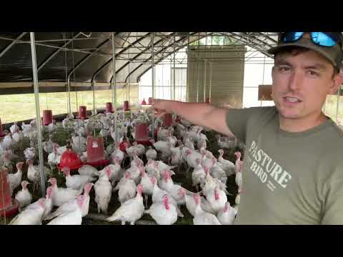 Portable Pasture Chicken Coop - 30'x60'
