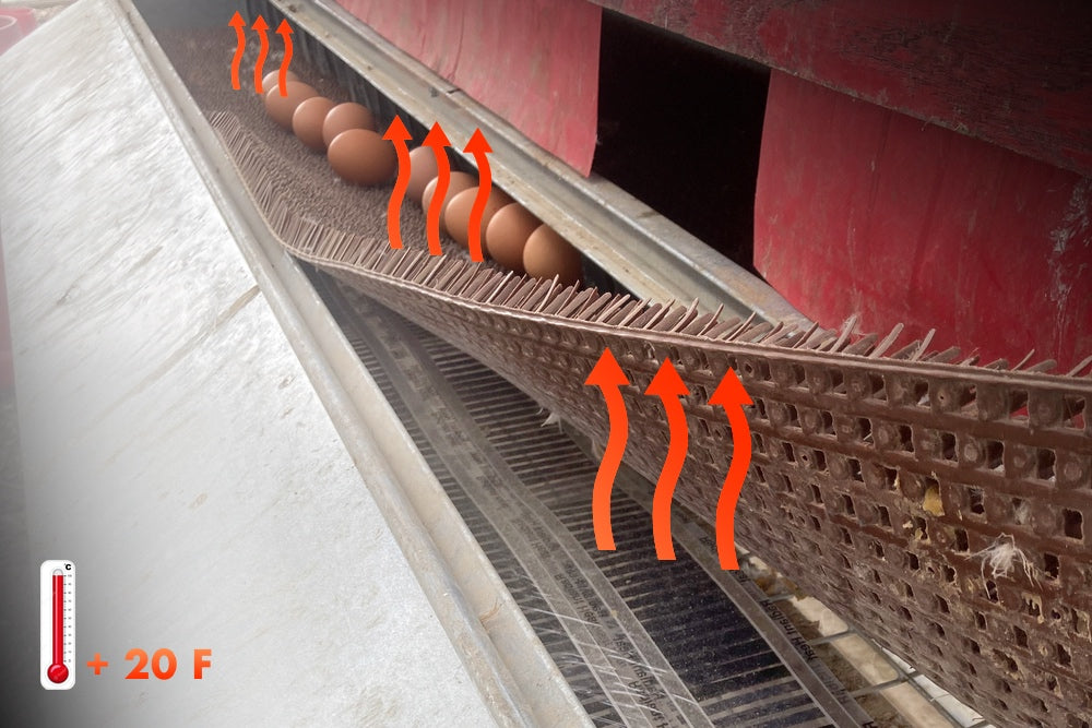 HeatMats - Keep your eggs from freezing