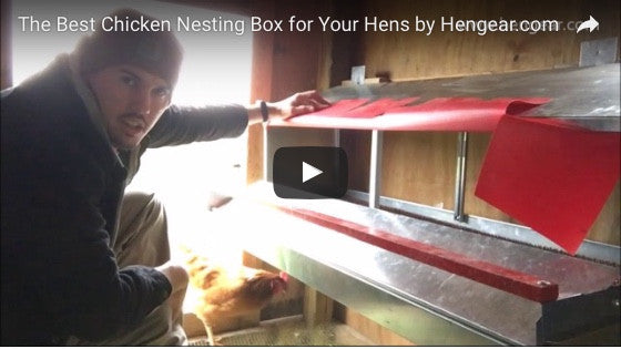 FarmBoy - "The Best Chicken Nesting Box"
