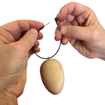 Trainer Egg