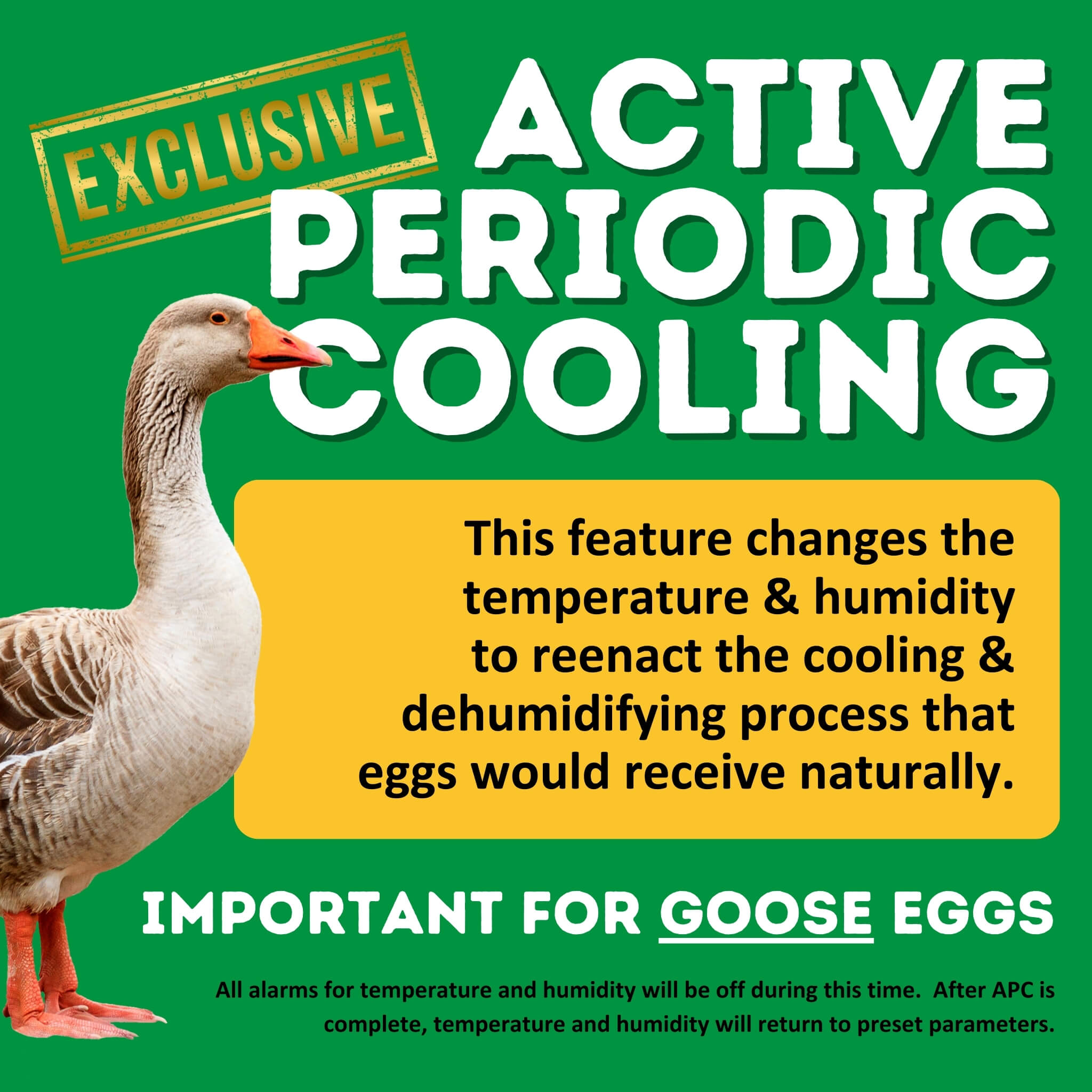 CT60 SH - Egg Incubator - Setter & Hatcher
