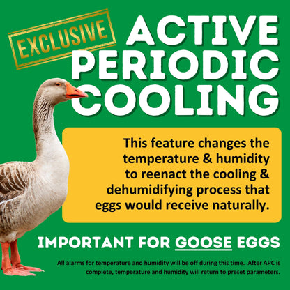 CT60 SH - Egg Incubator - Setter & Hatcher