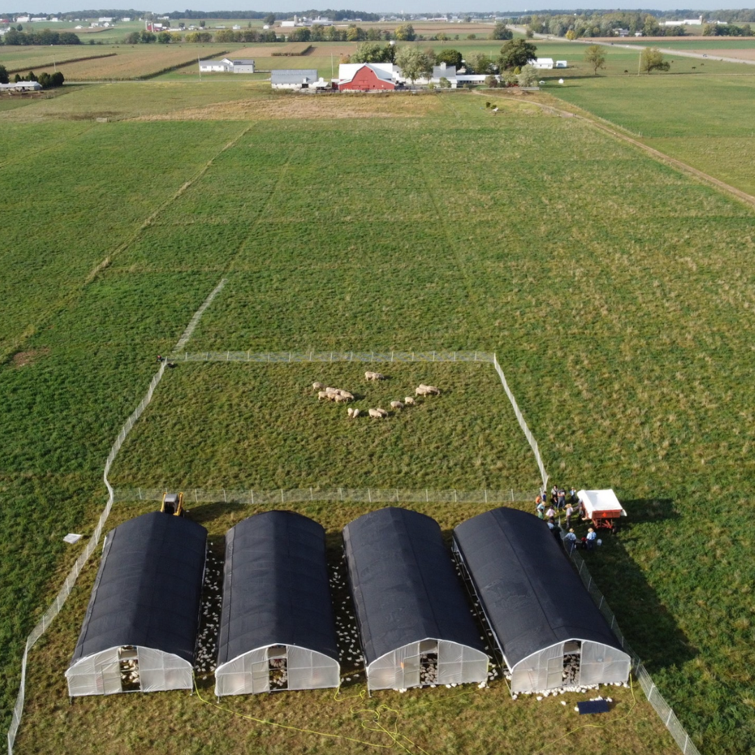 Portable Pasture Chicken Coop - 20'x48' (Up to 1,000 chickens)