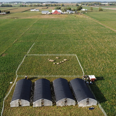 Portable Pasture Chicken Coop - 20'x48'