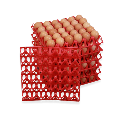 EZ-Gather Egg Trays