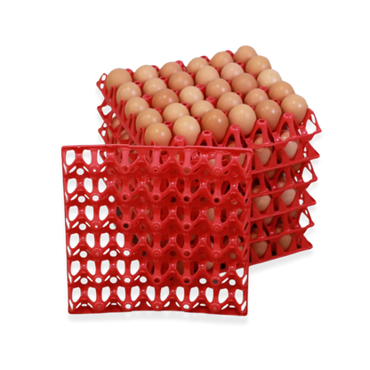 EZ-Gather Egg Trays