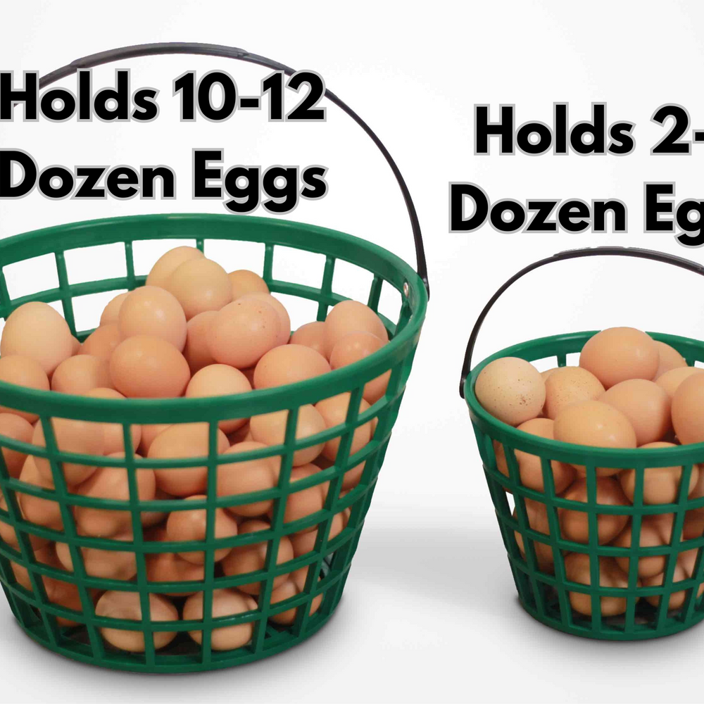 
                  
                    EZ-Gather Egg Basket
                  
                