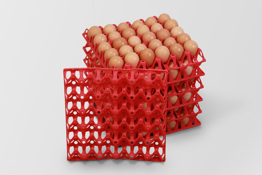 
                  
                    EZ-Gather Egg Trays
                  
                