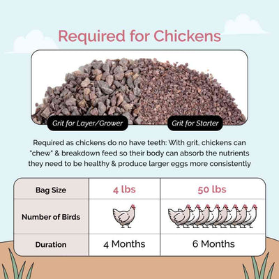 Chicken Grit