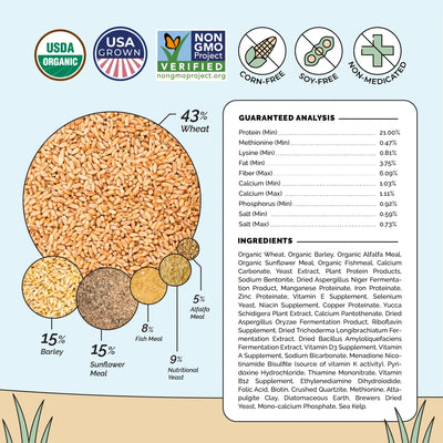 Starter Organic Chick Feed
