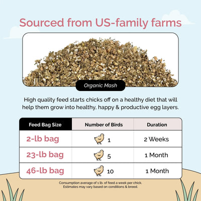 Starter Organic Chick Feed