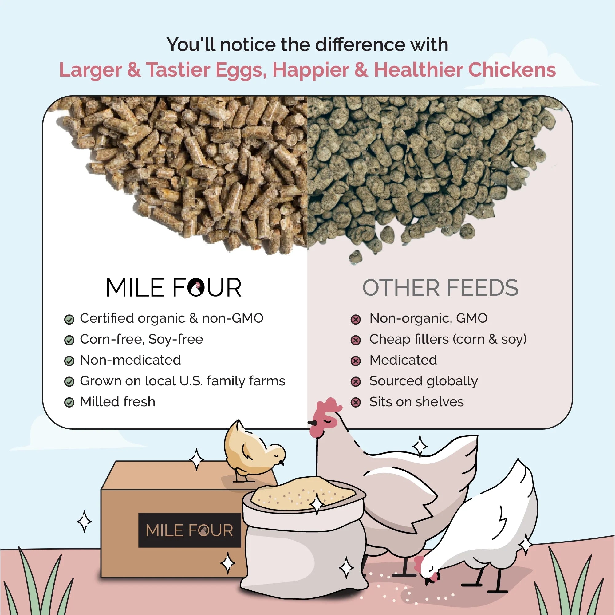 Layer Feed Kit | 1 Month of Organic Feed, Grit & Oyster Shell for 10 Layers