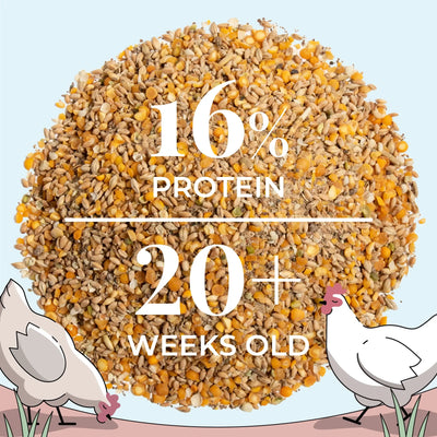 Layer Feed Kit | 1 Month of Organic Feed, Grit & Oyster Shell for 10 Layers