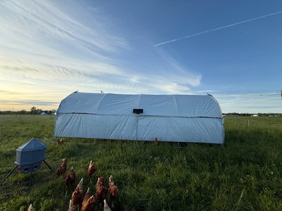Portable Pasture Chicken Coop - 10' x 24'