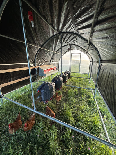 Portable Pasture Chicken Coop - 10' x 24'