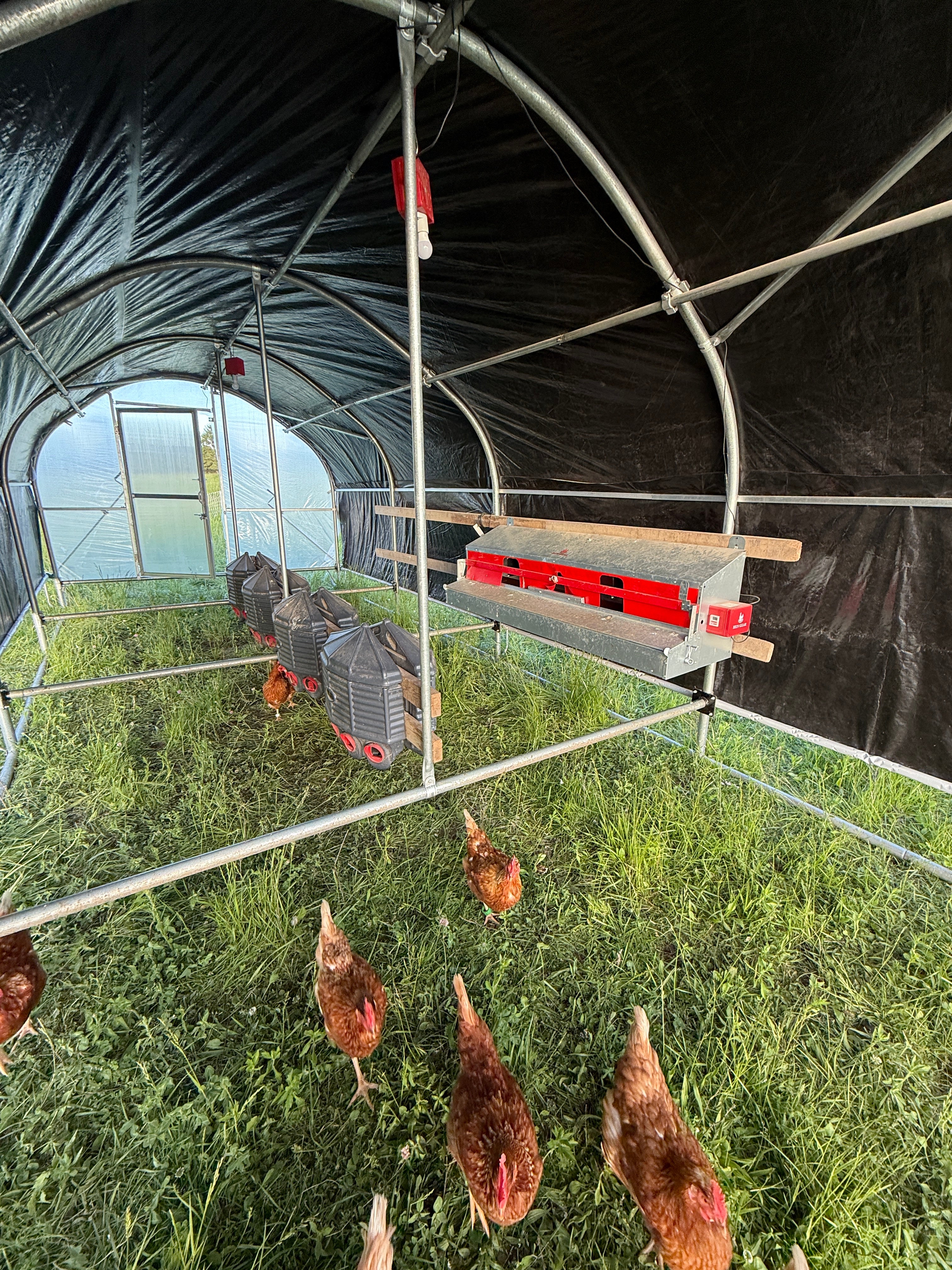 Portable Pasture Chicken Coop - 10' x 24'