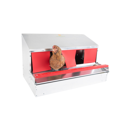 Medium (34") Reversible Roll-out Nest Box (Up to 32 Hens)