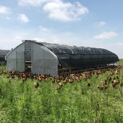 Portable Pasture Chicken Coop - 20'x48' (Up to 1,000 chickens)