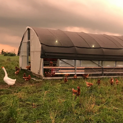 Portable Pasture Chicken Coop - 20'x48'