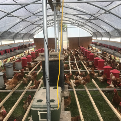 Portable Pasture Chicken Coop - 20'x48'