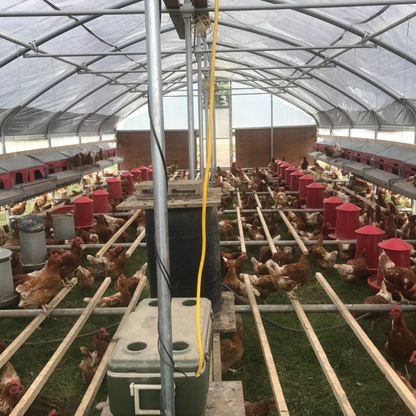 Portable Pasture Chicken Coop - 20'x48' (Up to 1,000 chickens)