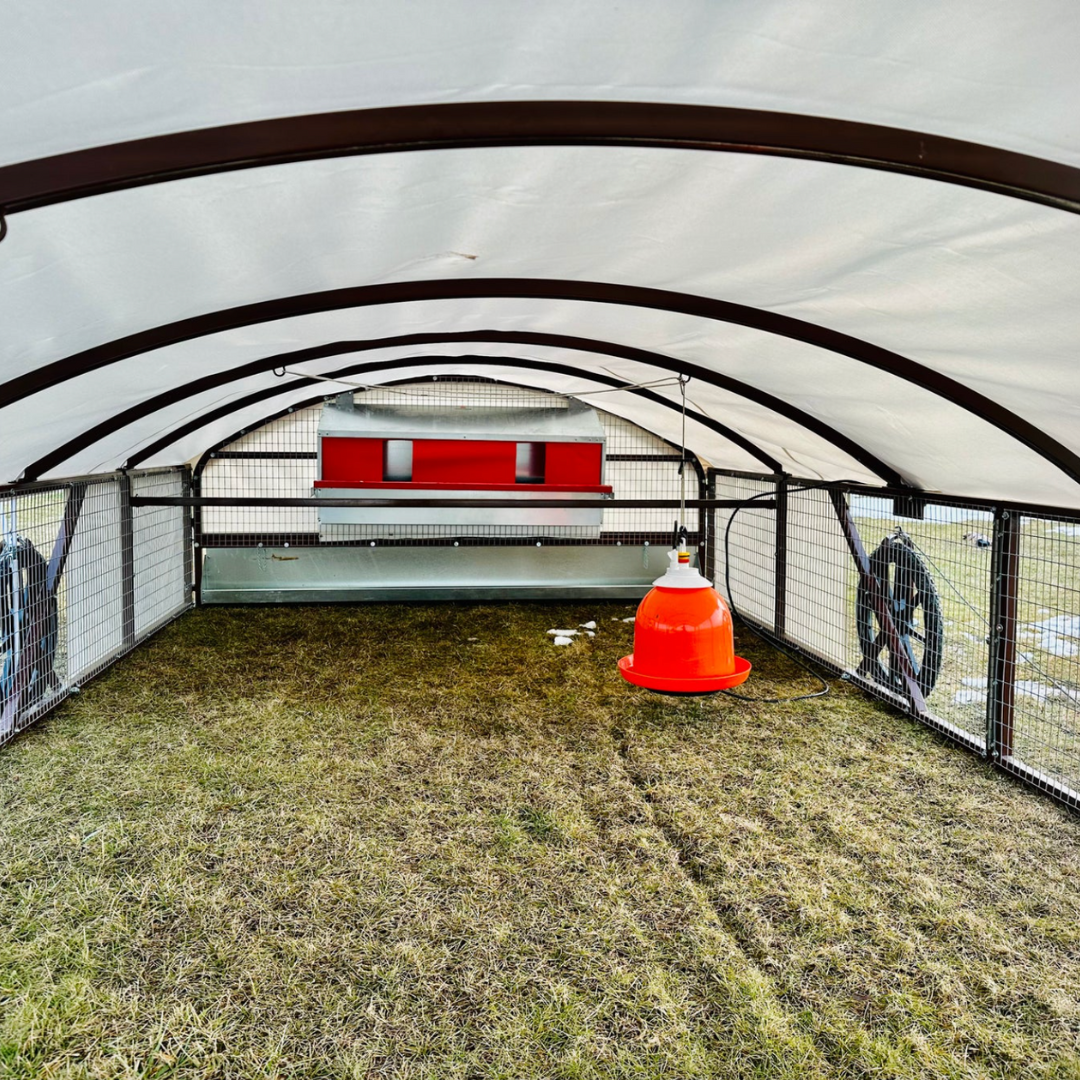 Portable Chicken Tractor - 8' x 16'