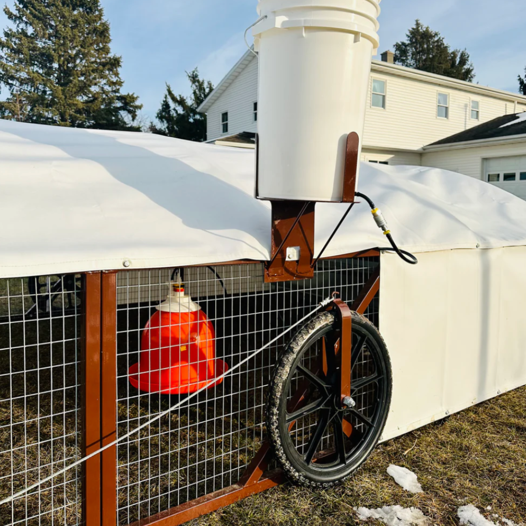 Portable Chicken Tractor - 8' x 16'