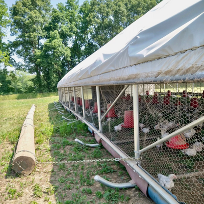 Portable Pasture Chicken Coop - 30'x60'