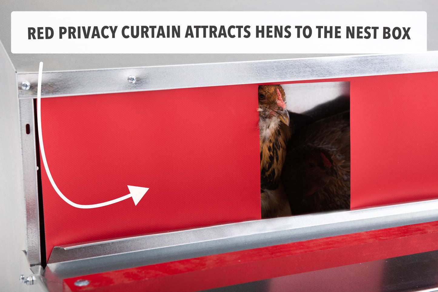 
                  
                    Large (54") - Reversible Rollout Nest Box (Up to 52 Hens) - Ready to Ship! - Limited Supply!
                  
                