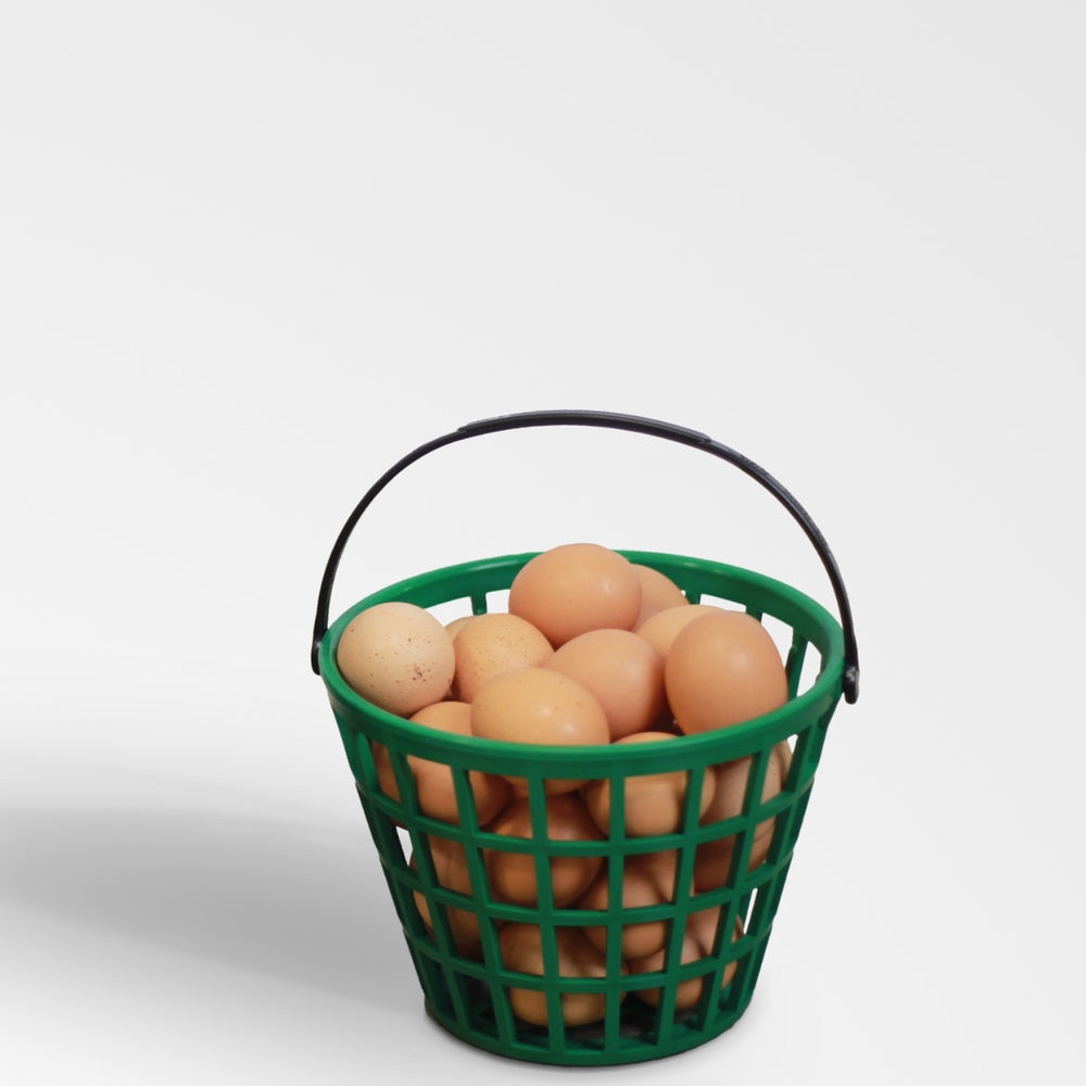 
                  
                    EZ-Gather Egg Basket
                  
                