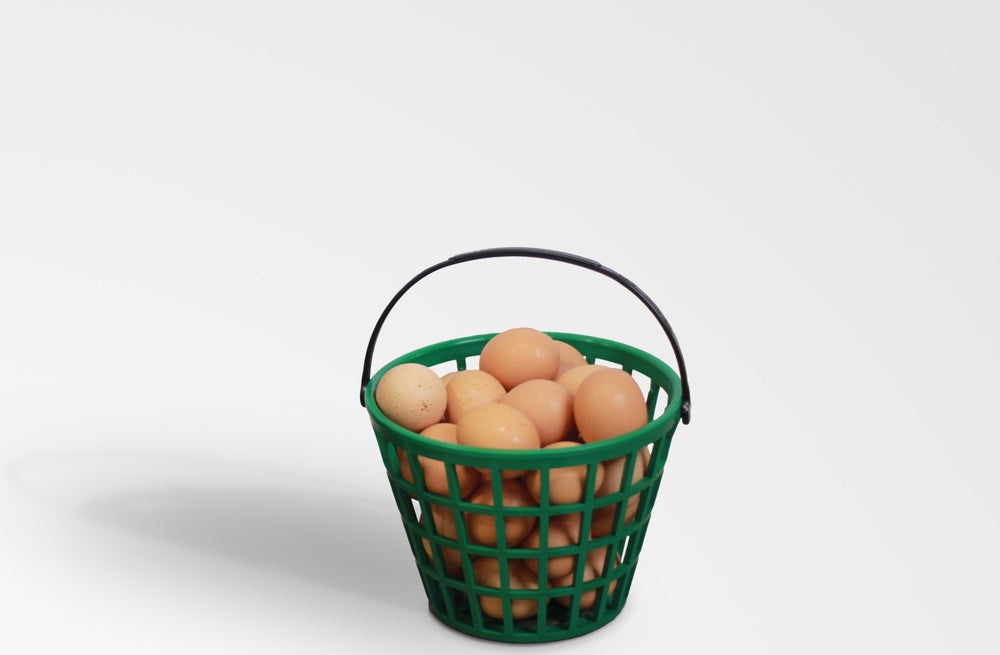 EZ-Gather Egg Basket – HenGear