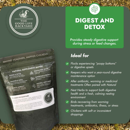 Digest & Detox - Gut Health Blend-